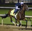 Normandy Invasion, workout April 27